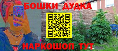 spice Бийск